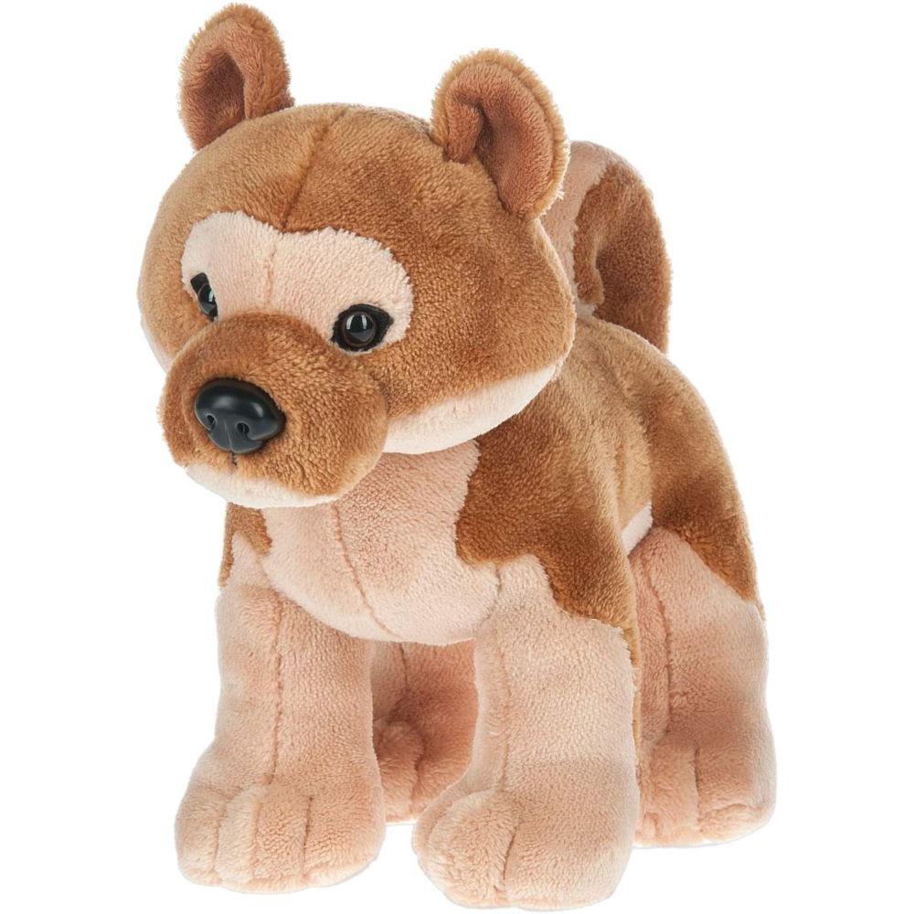 Webkinz 2025 shiba inu