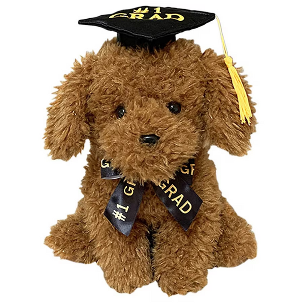Modern Expressions Graduation Stuffed Dog