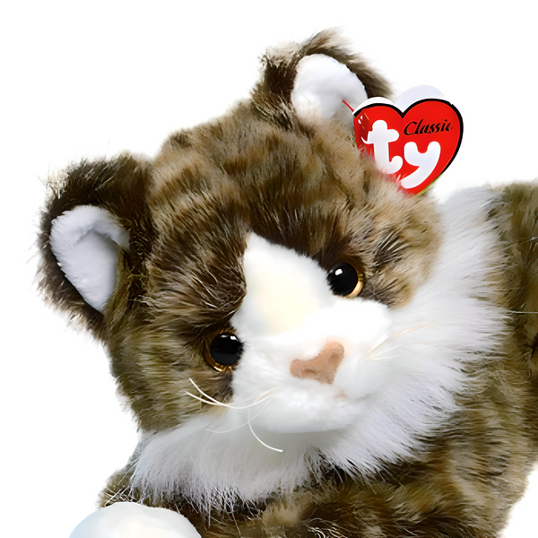 Ty best sale jumbles cat