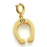 Growing Up Girls Charm - Age 10 Horseshoe Back