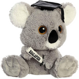 Aurora Graduation 8" Koalified Koala
