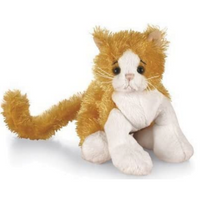 Webkinz Orange Cat