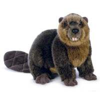 Webkinz Signature Beaver