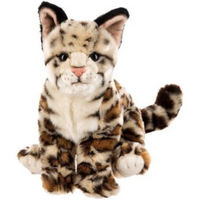 Webkinz Signature Ocelot