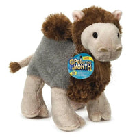 Webkinz Curly Camel June Pet of the Month