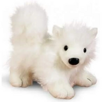 Webkinz Samoyed