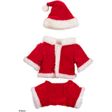 Webkinz Santa Outfit